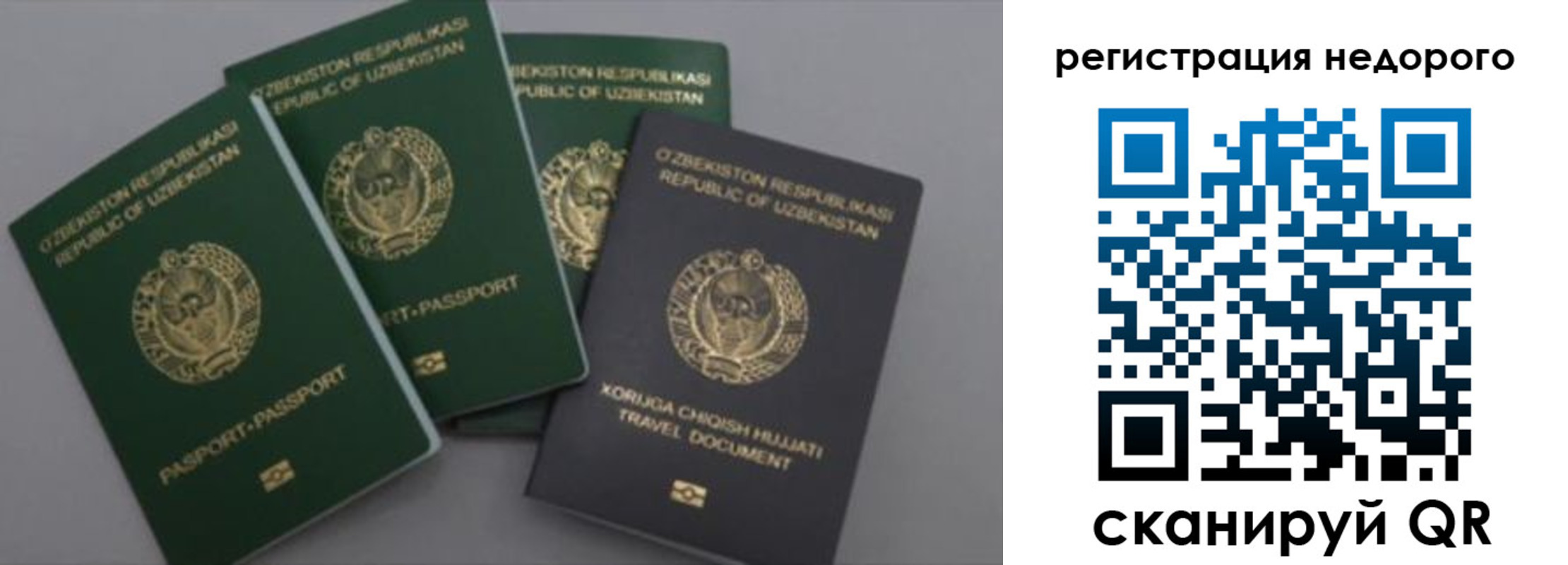 пропишу в квартире в Черноголовке